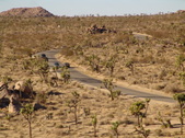 Enlarge photo 93