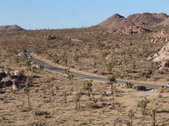 Enlarge photo 95