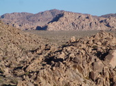 Enlarge photo 103