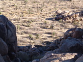 Enlarge photo 104