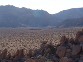 Enlarge photo 105
