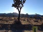 Enlarge photo 112