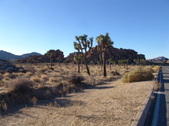 Enlarge photo 113