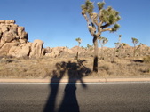 Enlarge photo 115