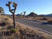 Enlarge photo 118