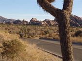 Enlarge photo 119