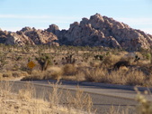 Enlarge photo 120