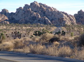 Enlarge photo 121