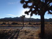 Enlarge photo 122