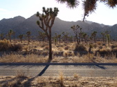 Enlarge photo 123