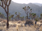 Enlarge photo 125