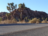 Enlarge photo 131