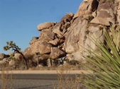 Enlarge photo 132