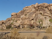 Enlarge photo 135