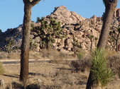 Enlarge photo 136