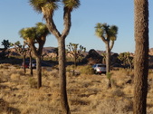 Enlarge photo 138