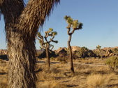 Enlarge photo 139