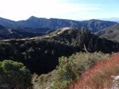 Enlarge photo 1