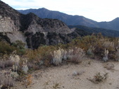 Enlarge photo 25