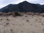 Enlarge photo 27