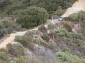 Enlarge photo 31