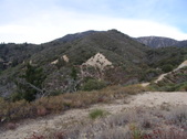 Enlarge photo 33