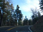Enlarge photo 26