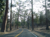Enlarge photo 30