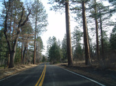 Enlarge photo 31