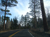 Enlarge photo 32