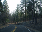Enlarge photo 33