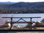 Enlarge photo 35