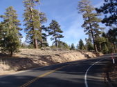 Enlarge photo 54