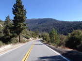 IDYLLWILD - HWY 243 - (2)  