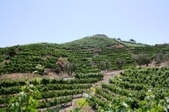 Enlarge photo 1
