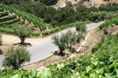 CIELO WINERY