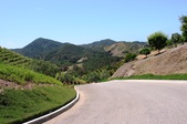 ROCKY OAKS WINERY
