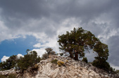 Enlarge photo 29