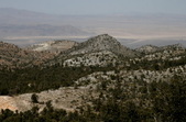 Enlarge photo 30