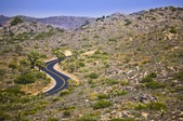 JOSHUA TREE NATL MONUMENT