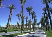 PALM SPRINGS AREA