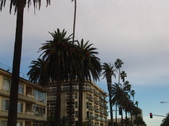 Enlarge photo 34