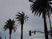 Enlarge photo 44