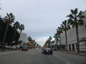 PALM TREE LINED STREETS