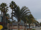 Enlarge photo 26
