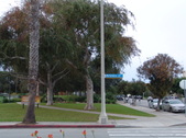 Enlarge photo 35