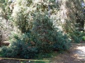 Enlarge photo 1
