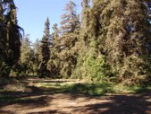 Enlarge photo 19