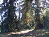 Enlarge photo 25