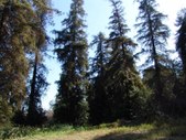 Enlarge photo 27